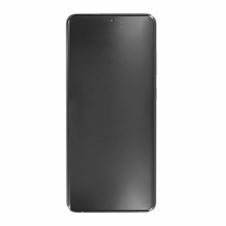 Dodirno staklo i LCD zaslon za Samsung Galaxy S20 Ultra / S20 Ultra 5G / SM-G988, originalno, sivo