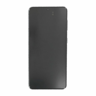 Dodirno staklo i LCD zaslon za Samsung Galaxy S21 5G / SM-G991, originalno, sivo